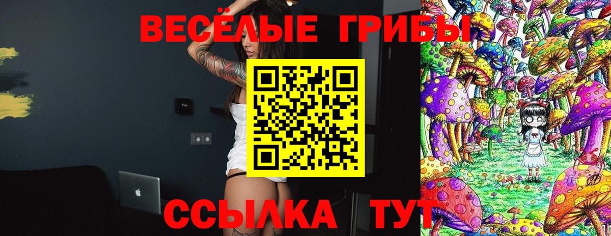 Большой Камень  Псилоцибиновые грибы прущие грибы  Вход с VPN 