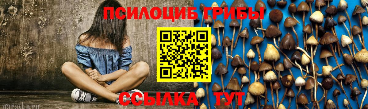 Галлюциногенные грибы мухоморы Большой Камень